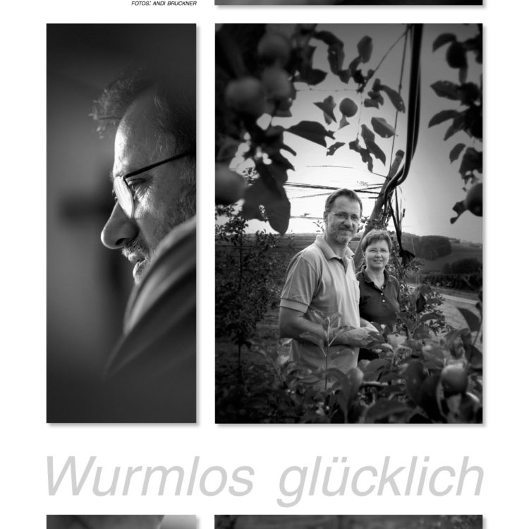 Innovation_Tradition