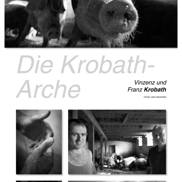 Innovation_Tradition