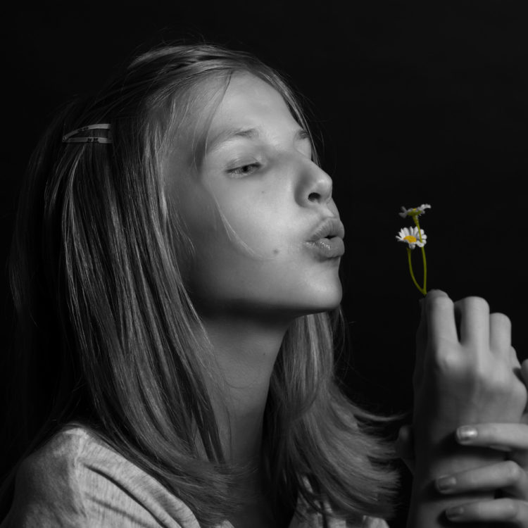 40 Jahre Hilfswerk  NOE