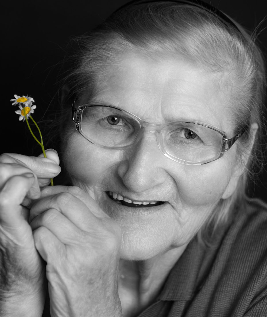 40 Jahre Hilfswerk Niederösterreich